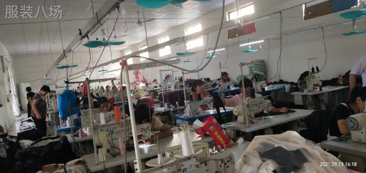 工厂订单量增加，大量招收缝纫机工-第2张图片