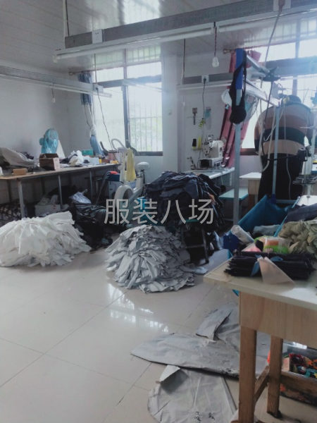 承接童裤，成人裤-第2张图片