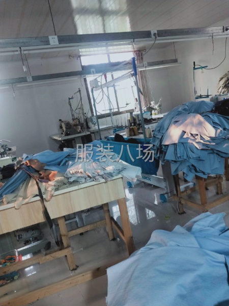 承接童裤，成人裤-第1张图片