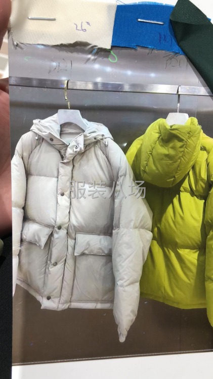 500件女装/羽绒服/西服西裤/夹克风衣/衬衫/连衣裙/牛仔-第1张图片