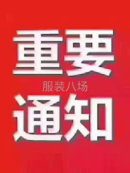 团队求职合作共赢-第1张图片