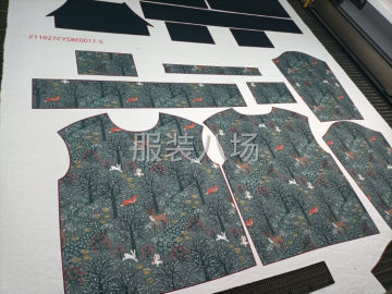 undefined - 激光烧花镂空，印花定位片切割 - 图1