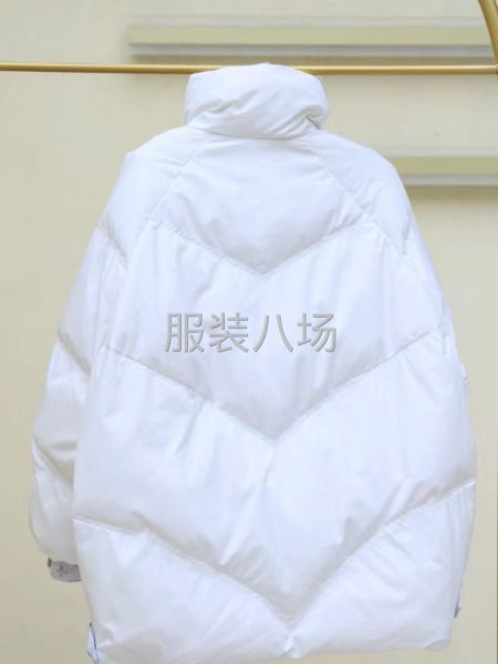 批发羽绒服50件-第4张图片