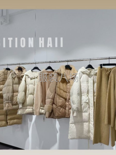 女装全品类四季开发全年30000款每天80～100款更新-第8张图片