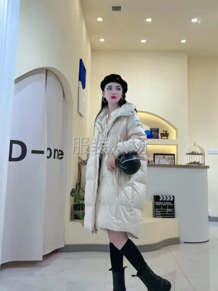 批发羽绒服450件-第4张图片