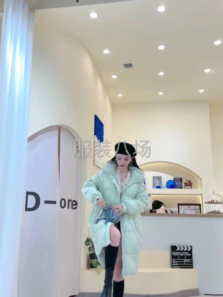 批发羽绒服450件-第3张图片