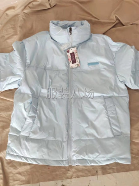 180件短款羽绒服便宜处理白菜价50一件，3个尺码-第2张图片