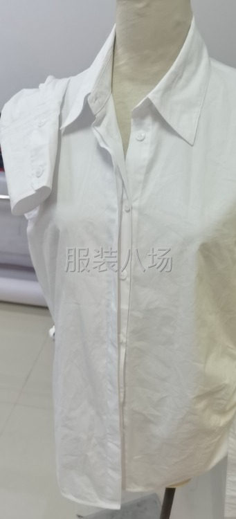 300件连衣裙/衬衫/女装外发-第1张图片