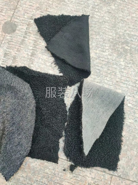 泰迪绒，一顿左右便宜处理-第1张图片