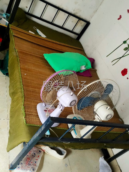 二手转让折叠床，铁架床4台-第2张图片