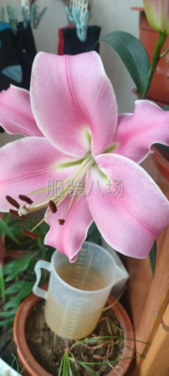 承接各种梭织样品梭织针织小单-第1张图片