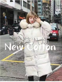 undefined - 批发羽绒服700件 - 图2