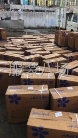 undefined - 全新缝纫机出售 - 图1