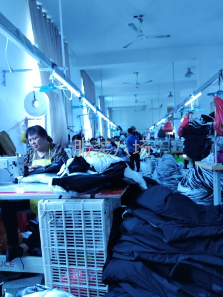 本廠專業做羽絨服，棉衣褲子夾克，歡迎廣大的朋友來料加工-第1張圖片