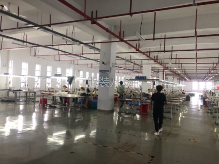 专业生产沙滩裤 休闲裤 卫裤 针织裤卫衣体恤-第1张图片