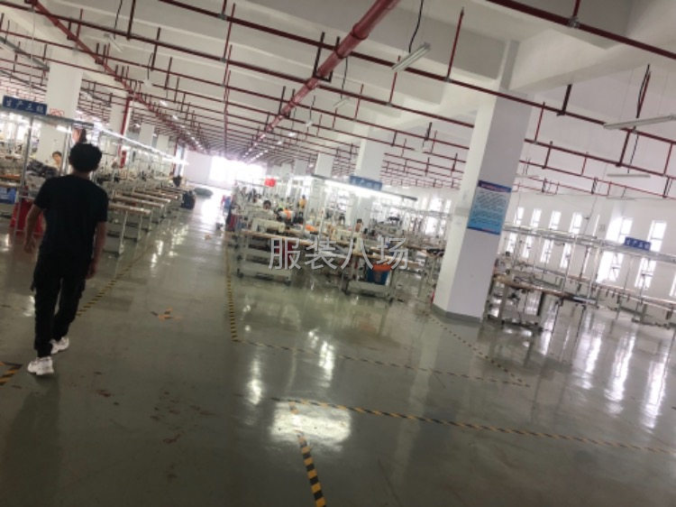专业生产沙滩裤 休闲裤 卫裤 针织裤卫衣体恤-第2张图片