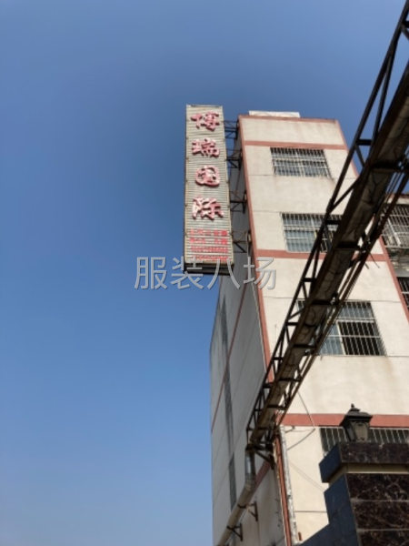 寻求服装加工订单-第1张图片