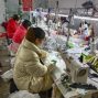永州 - 冷水滩 - 珊瑚 - 本加工厂在湖南永州，有工人20个...
