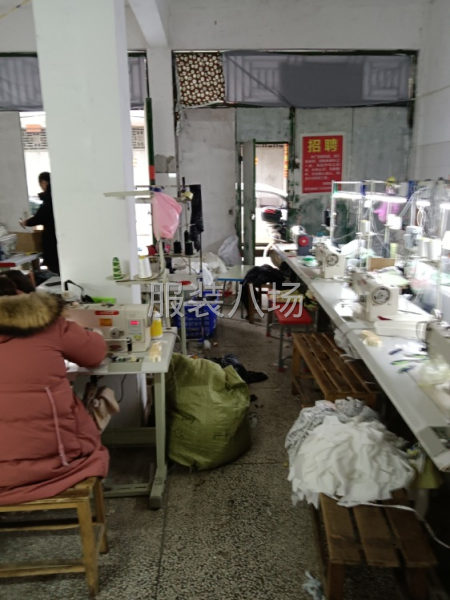 本加工厂在湖南永州，有工人20个，寻找梭织-第8张图片