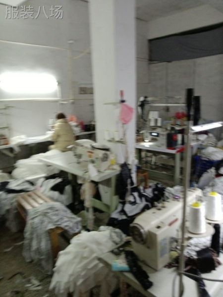 本加工厂在永州有工人20人，寻找梭织衬衫、裙子-第6张图片