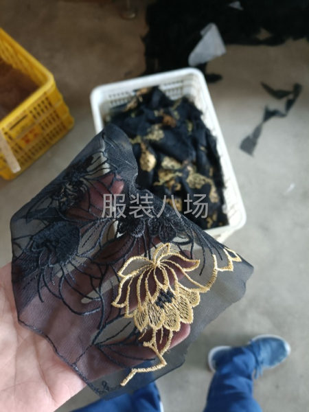 数码印花，蕾丝花边，纹胸碗片，电脑绣-第3张图片