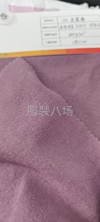 平板德绒 ，牙签条德绒，涤棉不倒绒-第1张图片
