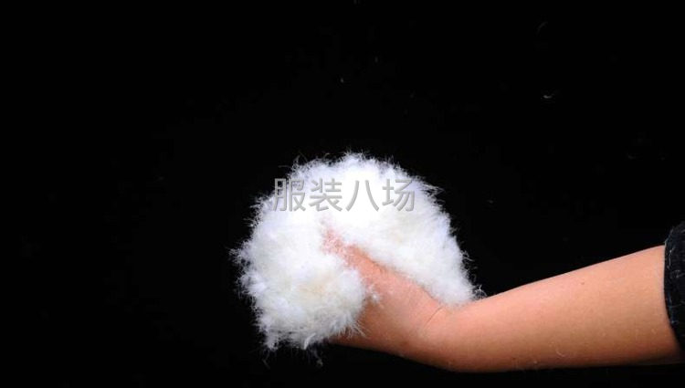 廠家供應各種規格羽絨-第1張圖片