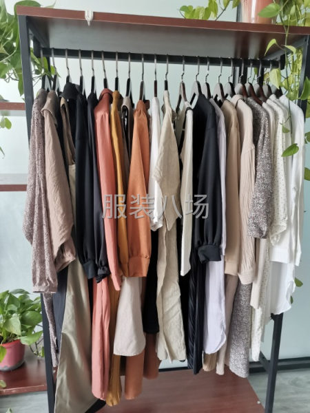 休闲时装 针织 梭织-第1张图片