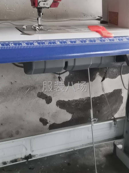 有需要的老板联系-第1张图片