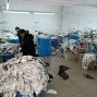 金华 - 义乌市 - 上溪 - 专业生产裤子