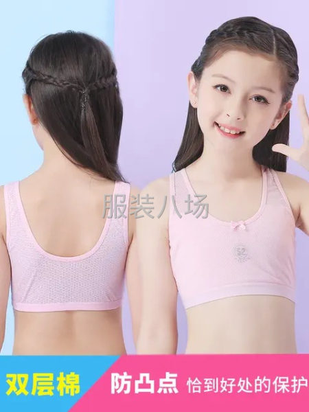 3500件工装/内衣/内衣内裤/女士文胸外发-第2张图片