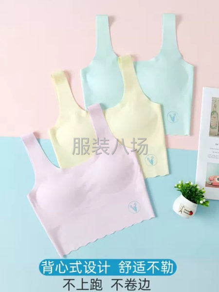 3500件工装/内衣/内衣内裤/女士文胸外发-第1张图片