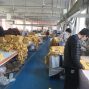 无锡 - 锡山 - 东港 - 专业生产居家针织类