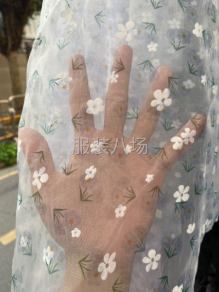 欧根纱植绒数码印花女装面料-第2张图片