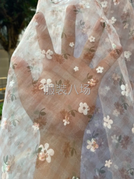 欧根纱植绒数码印花女装面料-第1张图片