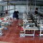 宿州 - 砀山 - 薛楼板材加工园 - 本厂有30个车卫寻找有实力老板...