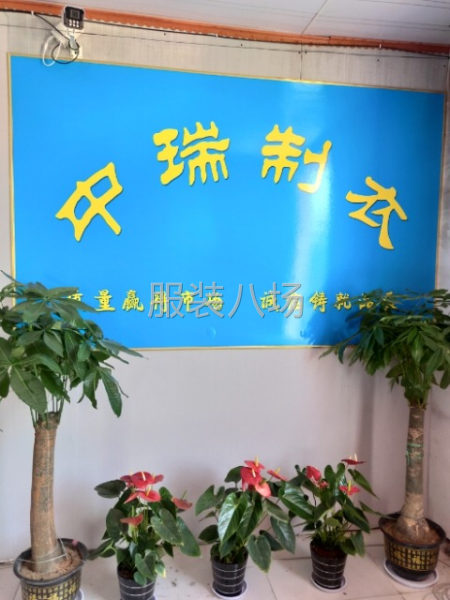 寻长期合作货源稳定的客户-第9张图片
