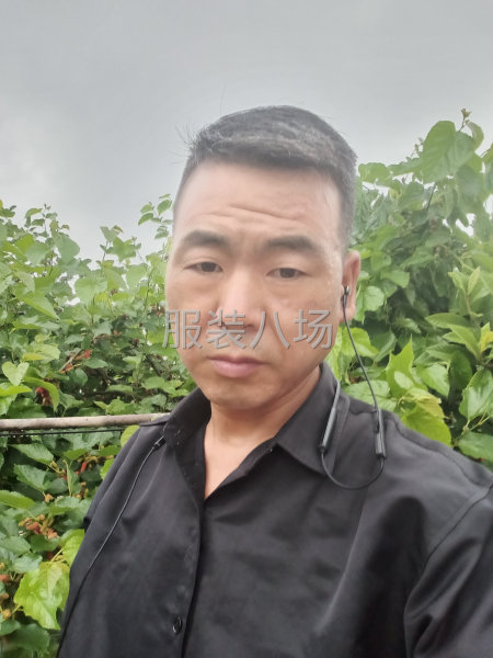 求职全职,经验15年-第3张图片