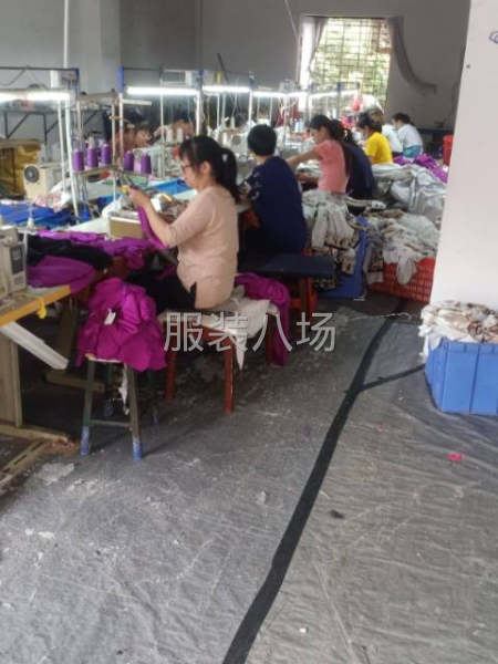 裤子，衬衣，裙子-第2张图片