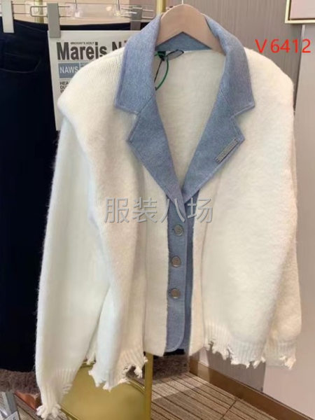 100件仿皮革/羽绒服/棉衣/牛仔/夹克风衣/Polo衫/女-第7张图片