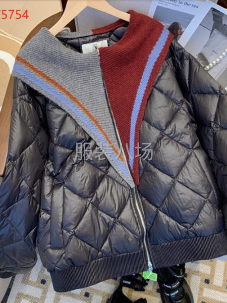 100件仿皮革/羽绒服/棉衣/牛仔/夹克风衣/Polo衫/女-第4张图片