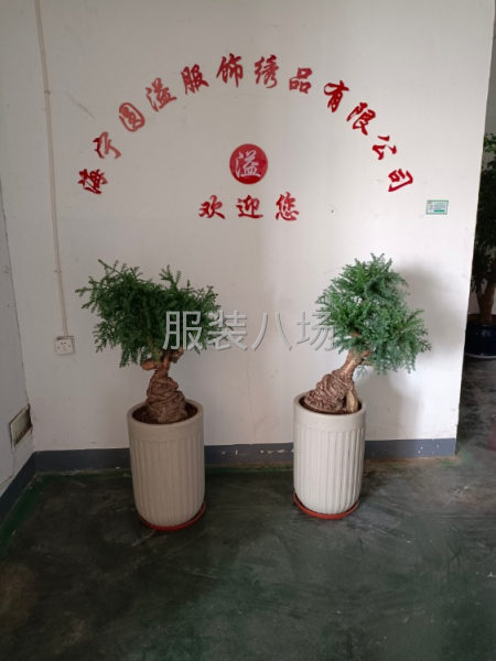 招五年以上专业裁剪一名-第1张图片