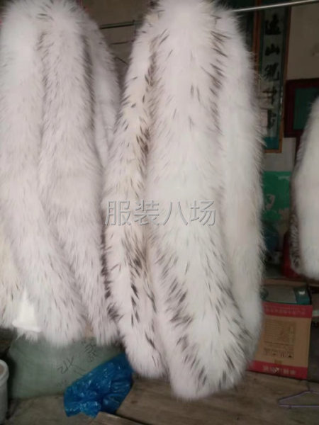 承接各种皮草毛领-第1张图片