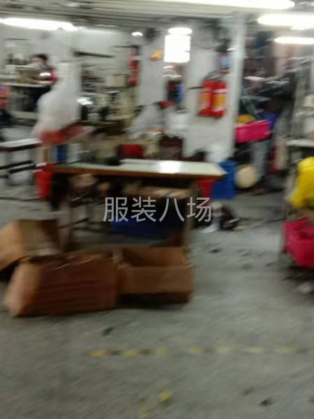 专业牛仔工厂诚寻客户-第1张图片