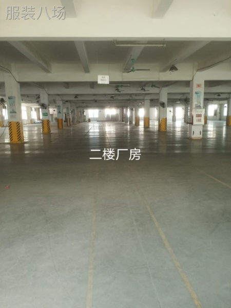 广州番禺独门独院标准厂房招租-第4张图片