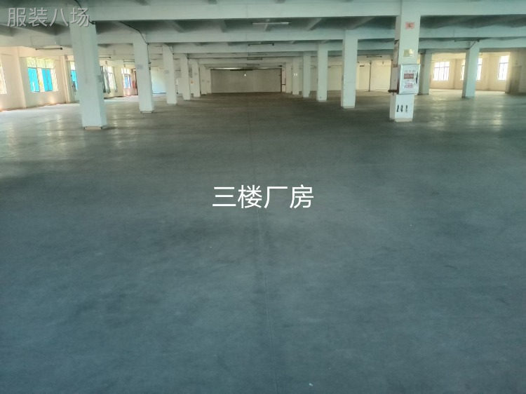广州番禺独门独院标准厂房招租-第3张图片