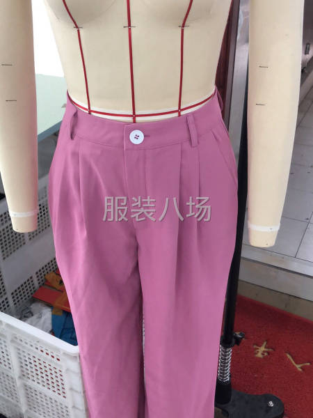 300件女裝/連衣裙/襯衫/西服西褲/褲子/整燙/包裝外發(fā)-第4張圖片