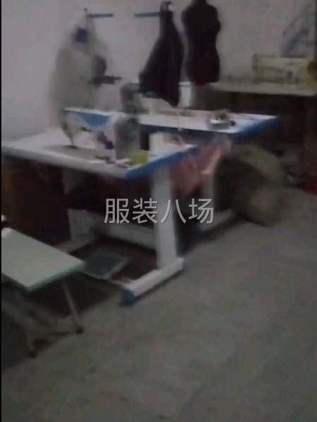 能做女装四季装，男装品牌-第1张图片