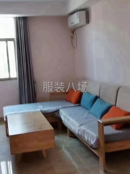 出租商品城 后坛 里宅学校附近一房一厅-第3张图片