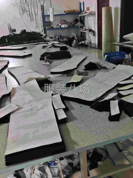 本厂专业加工各种女裤-第1张图片